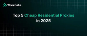 5 Best Residential Proxy Providers (Budget-Friendly Review 2025)