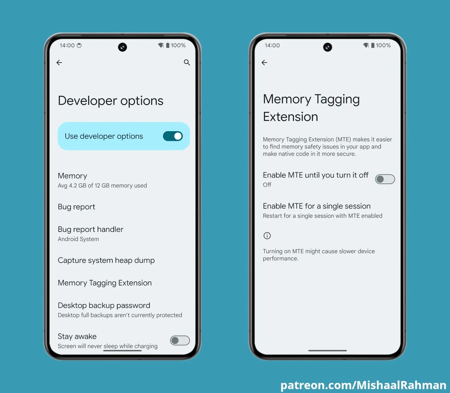 Pixel 8 and Pixel 8 Pro supports Memory Tagging Extension (MTE)
