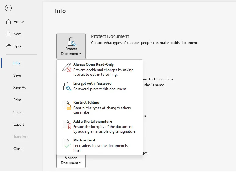 MS Word Protect Document