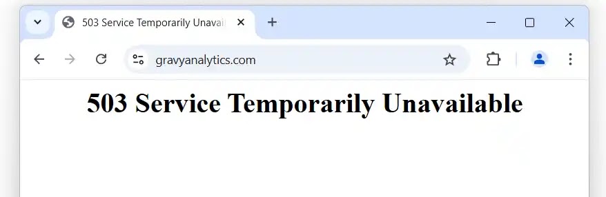 Gravy Analytics’ website