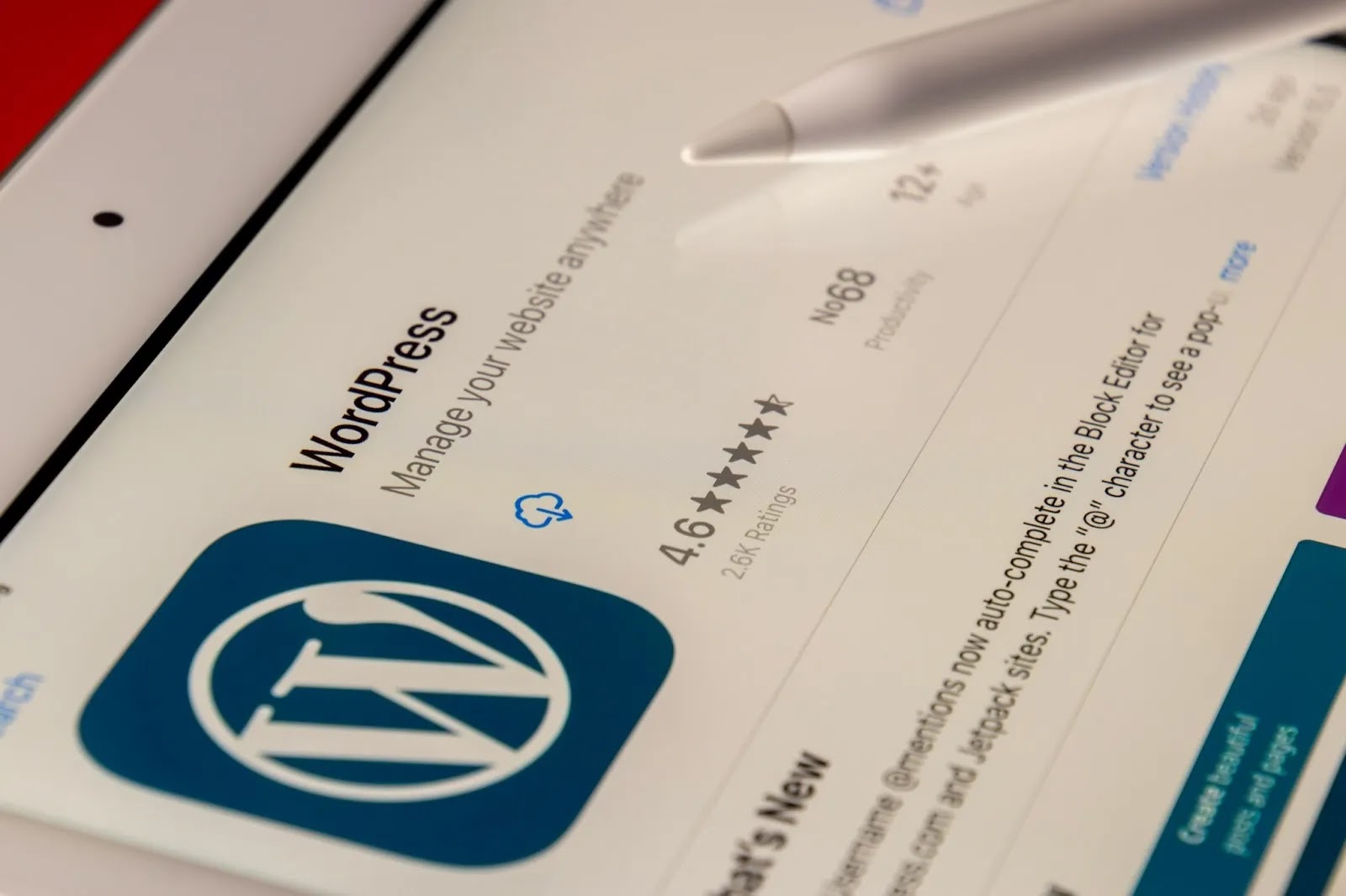Secure WordPress with Password