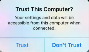 Trust this computer popup
